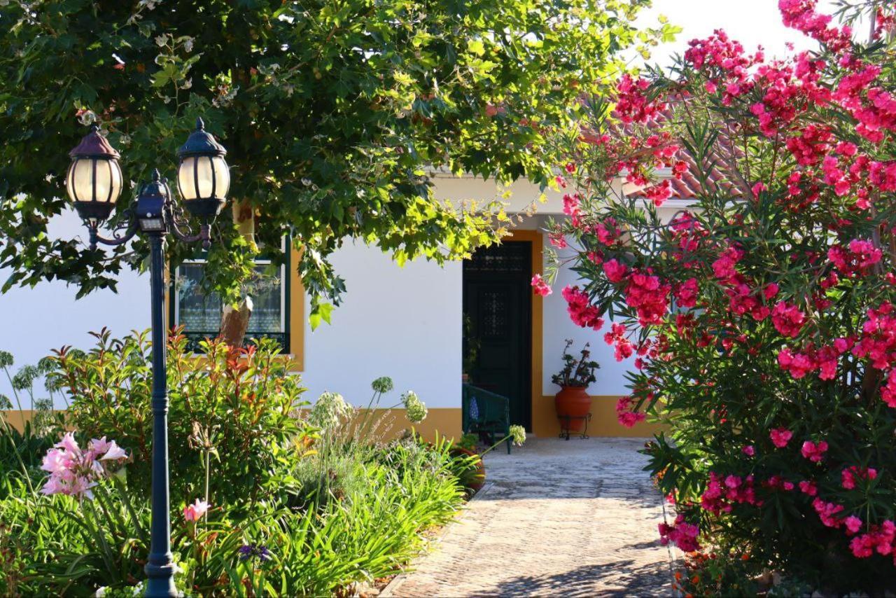 Casa Robusto Pension Salvaterra de Magos Buitenkant foto
